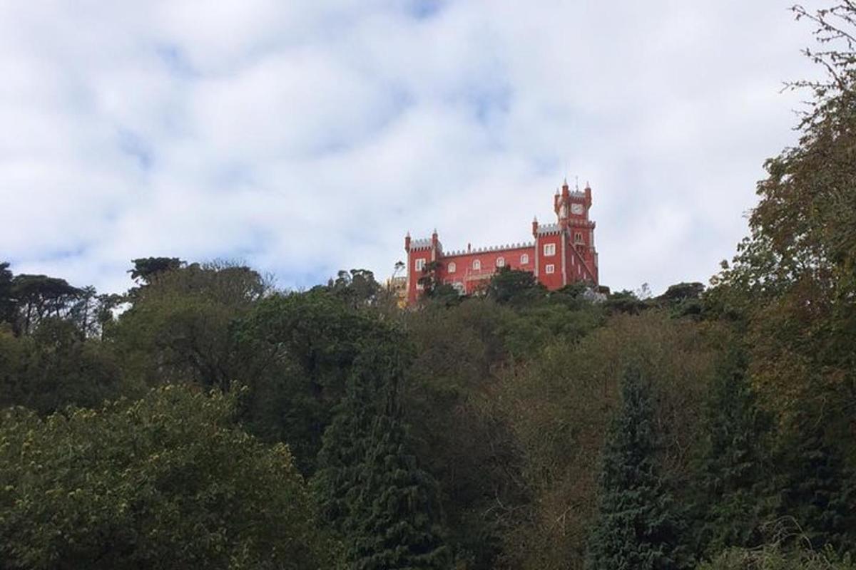 hrad na vrcholu kopce se stromy