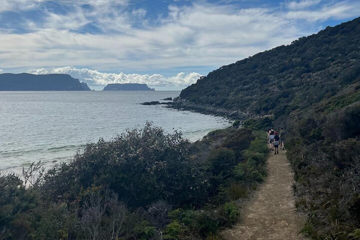 two people riding horses on a trail near the ocean