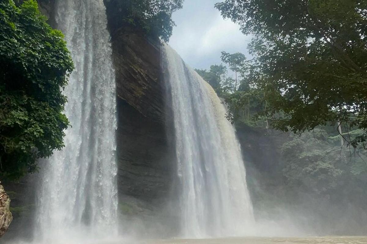 a waterfall in the middle of a forest