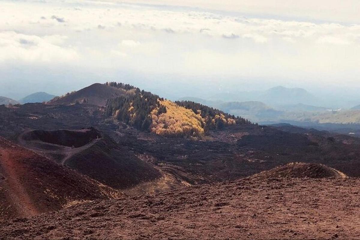 útsýni yfir fjall með trjám á því