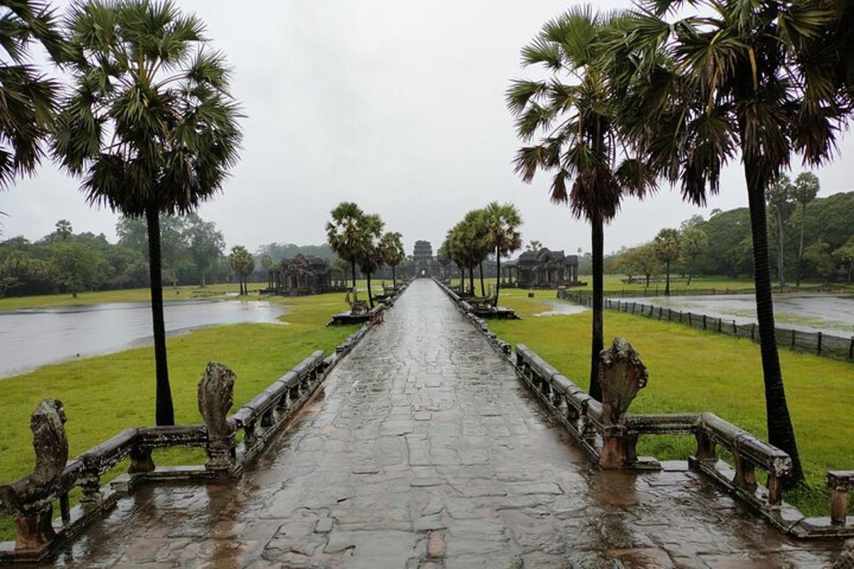 una passerella in un parco con palme e un fiume
