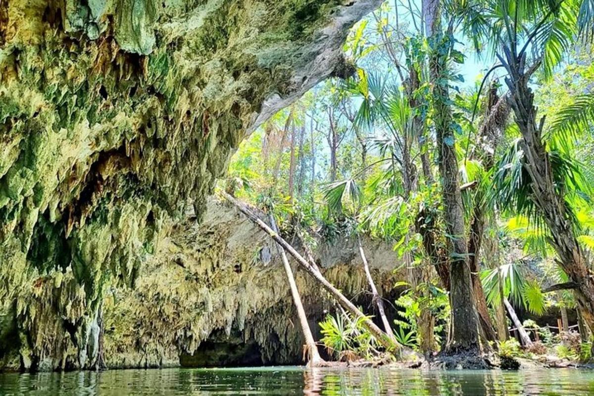 водойма з пальмами та печерою