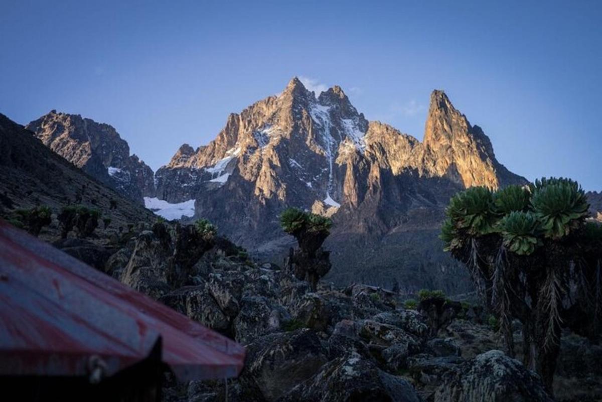 pemandangan gunung dengan pepohonan dan tenda