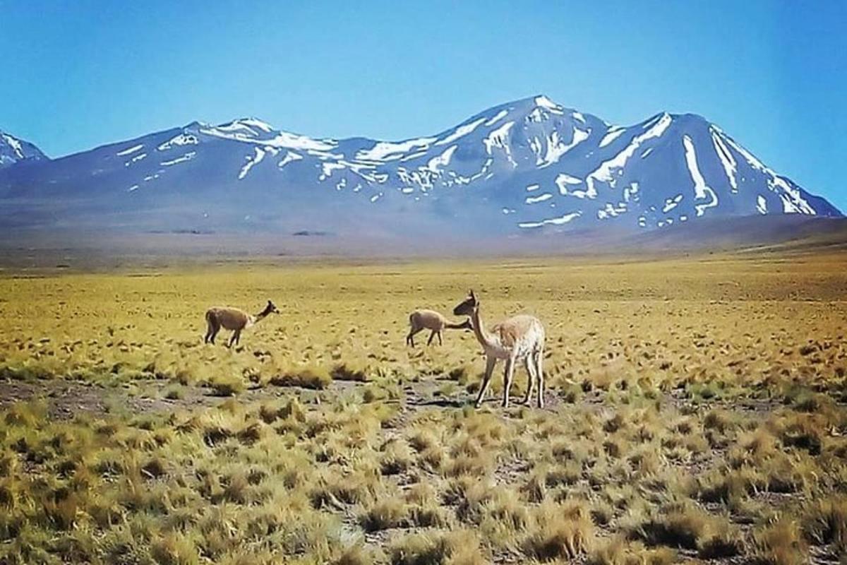 Turistik nokta fotoğrafı 3