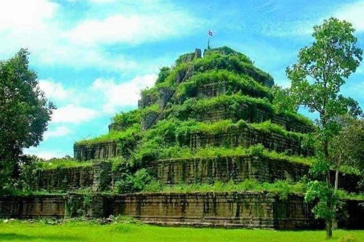 野原にある緑の植物に覆われた大きな建物