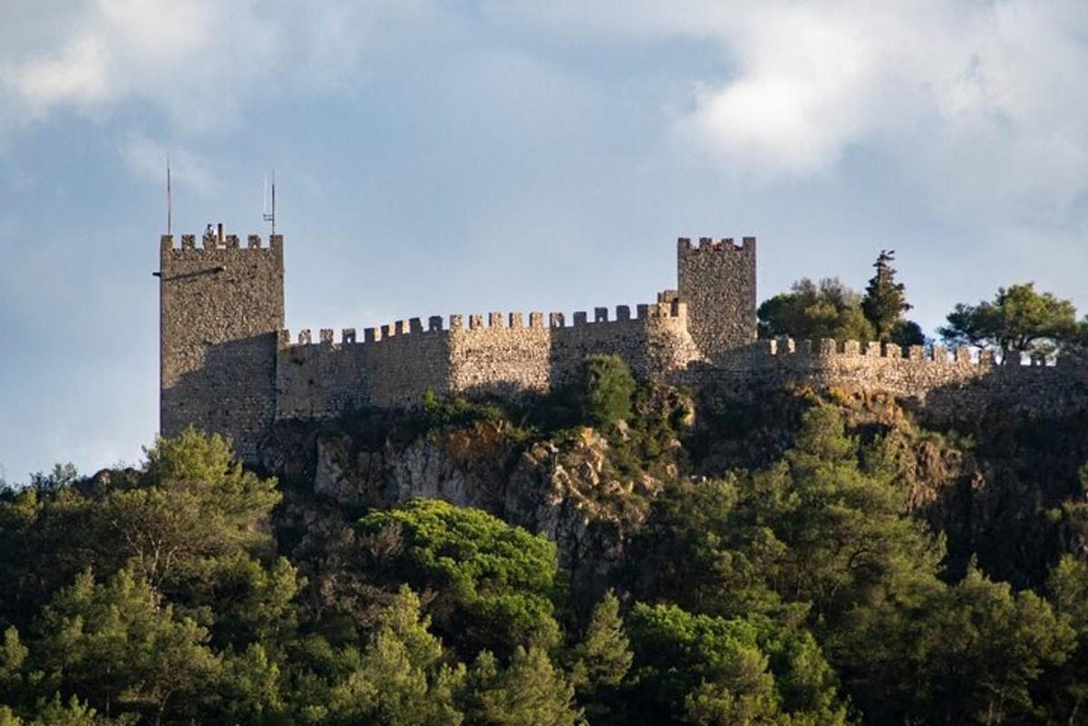 um castelo no topo de uma colina com árvores