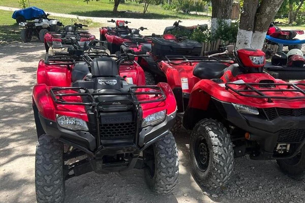 egy sor ATV parkolt egy fa mellett