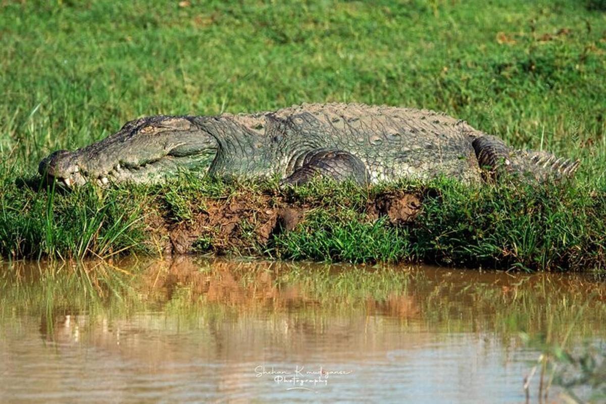 4 foto atraksi wisata