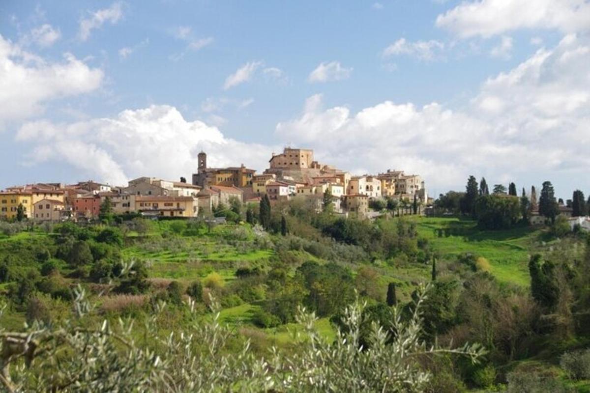 un villaggio in cima a una collina verde con case