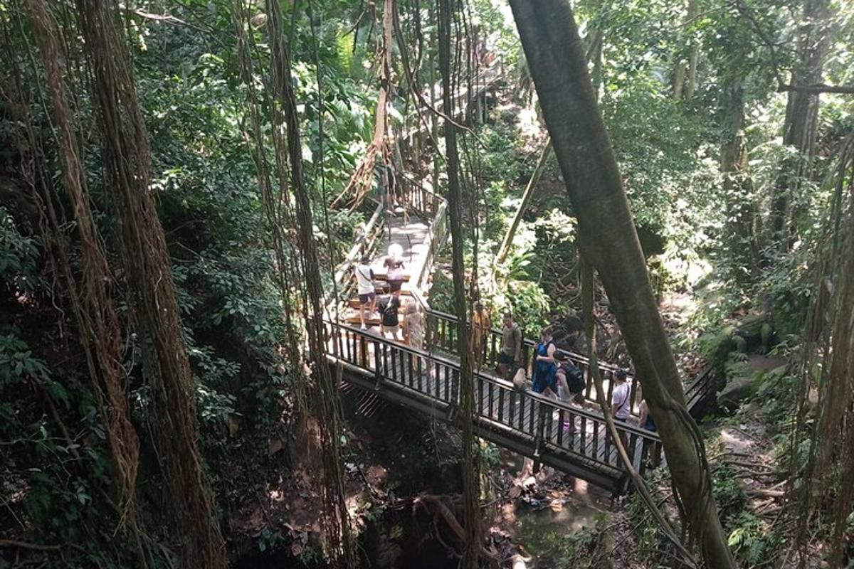 a group of people on a suspension bridge in the forest