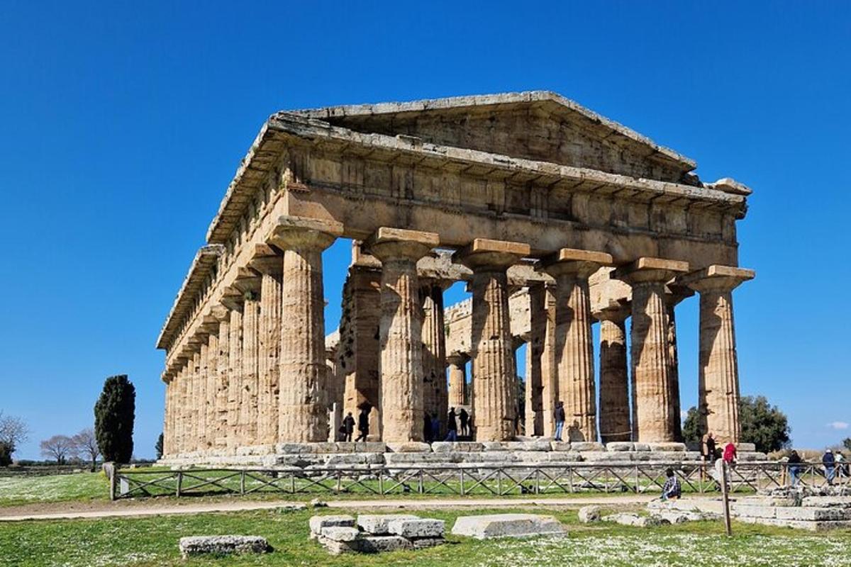 un antico edificio con colonne in un campo