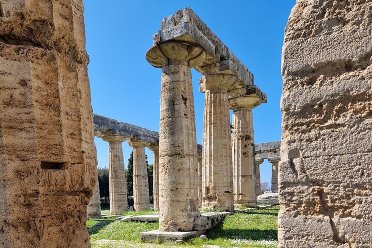 antiche colonne tra le rovine di un edificio