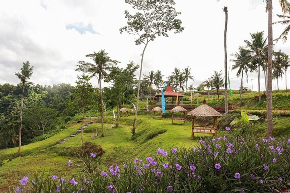 taman dengan taman permainan di atas bukit dengan bunga ungu