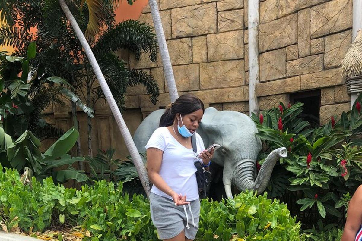seorang wanita melihat telefon bimbitnya di hadapan seekor gajah