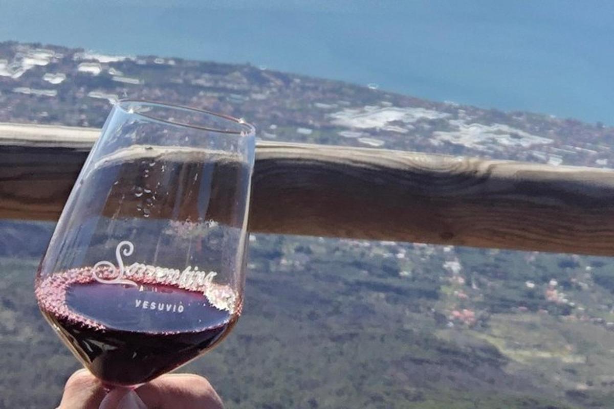 en person, der holder et glas vin med udsigt