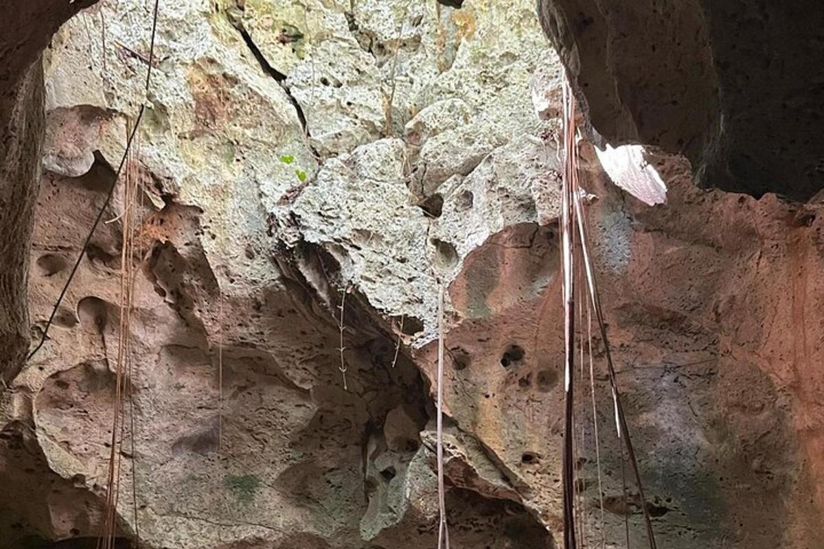 una grotta con delle corde appese a una parete rocciosa