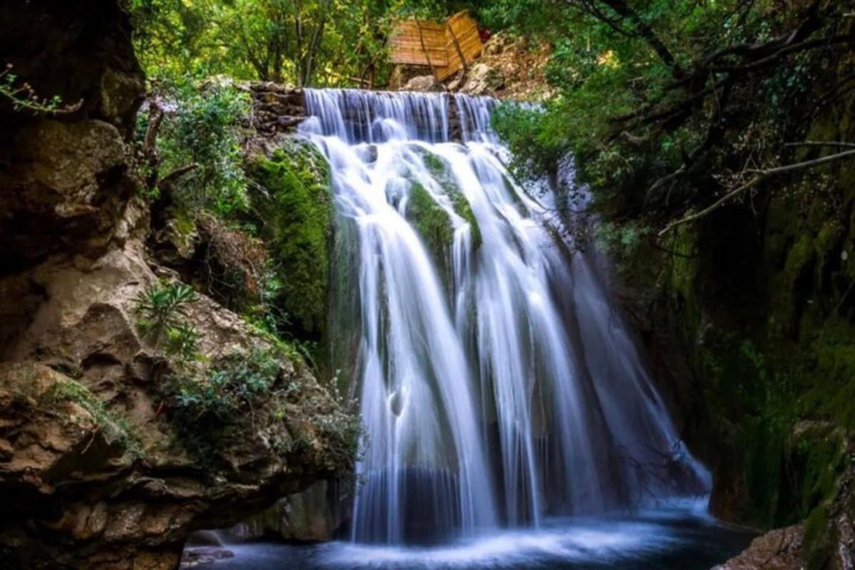 una cascada en medio de un bosque