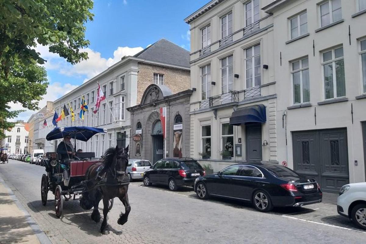 o trăsură trasă de cai pe o stradă a orașului cu mașini