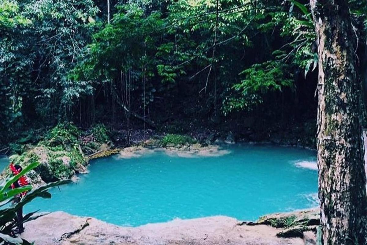 una grande pozza d'acqua blu in una foresta
