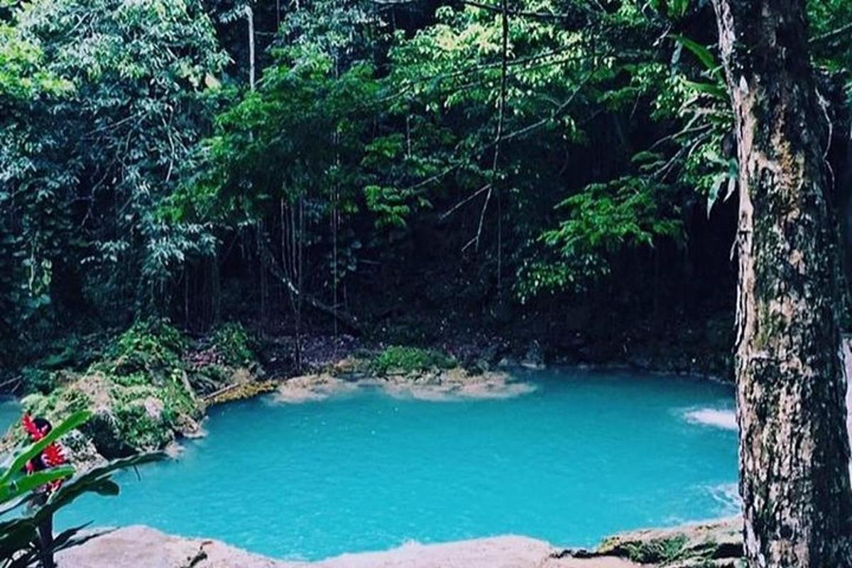 una pozza d'acqua blu in mezzo a una foresta
