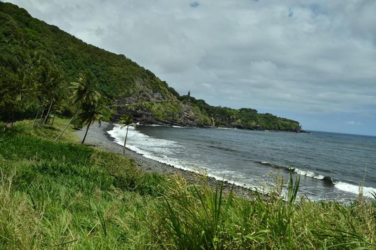 pantai dengan pokok palma dan lautan