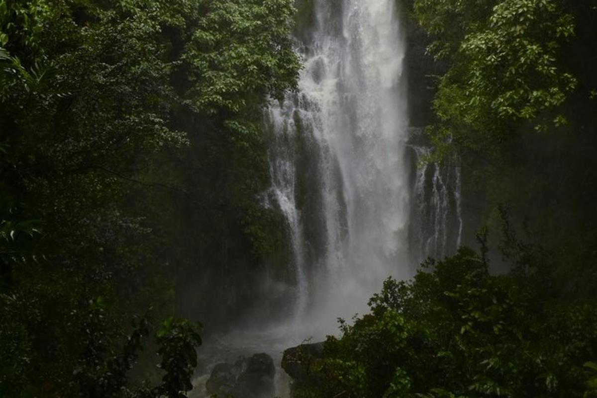 una cascata in mezzo a una foresta