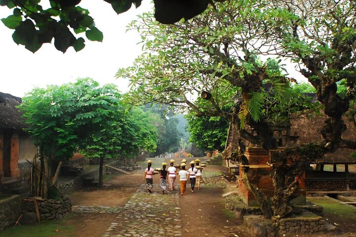 un grup de persones caminant per un camí de terra