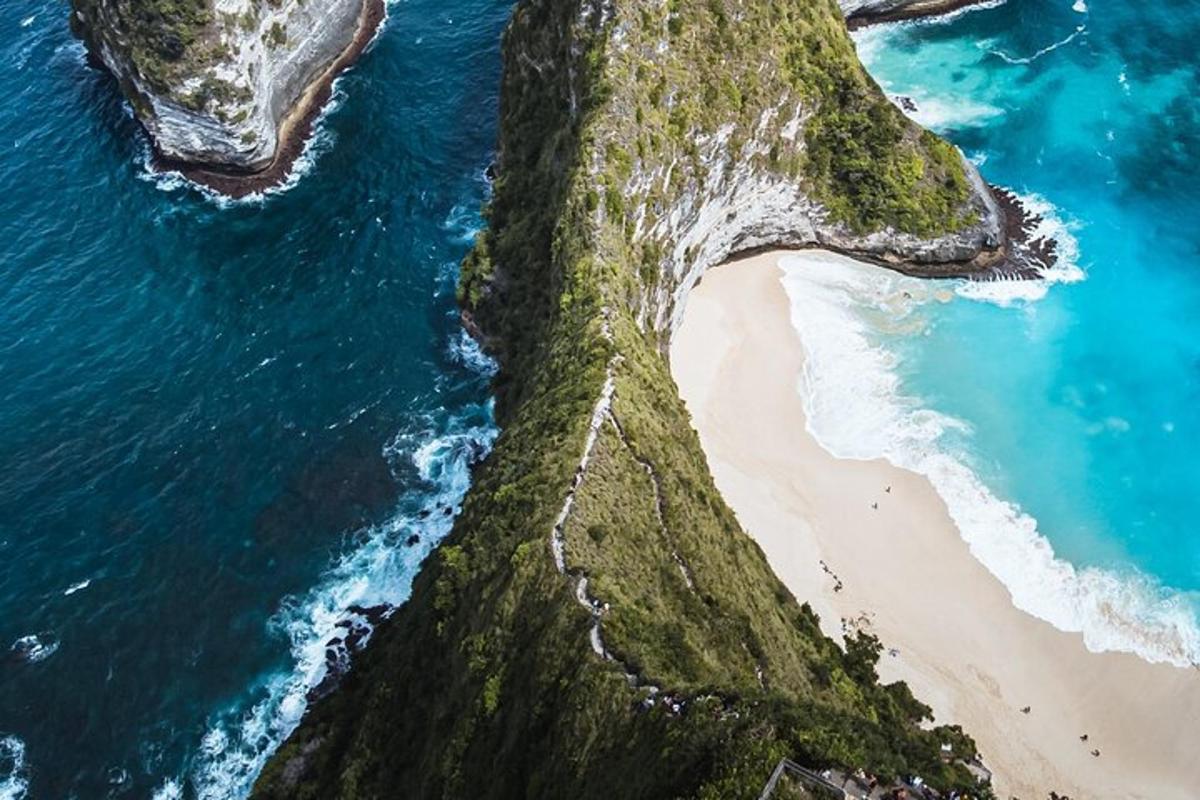 an aerial view of a beach and the ocean