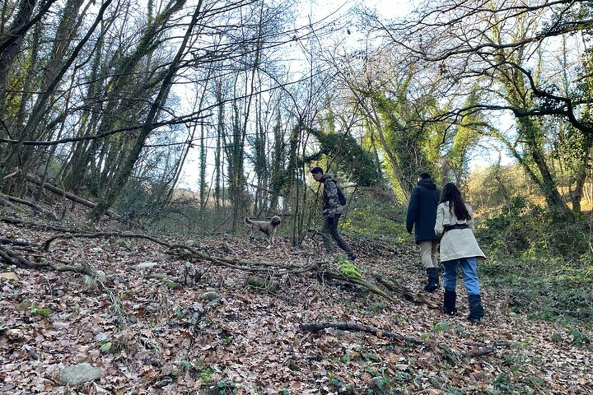 Un grupo de personas caminando por el bosque con un perro.