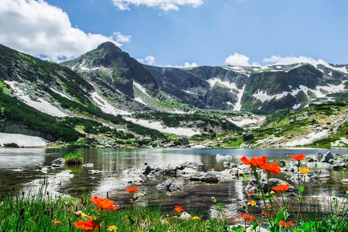 a mountain lake with red flowers in the foreground
