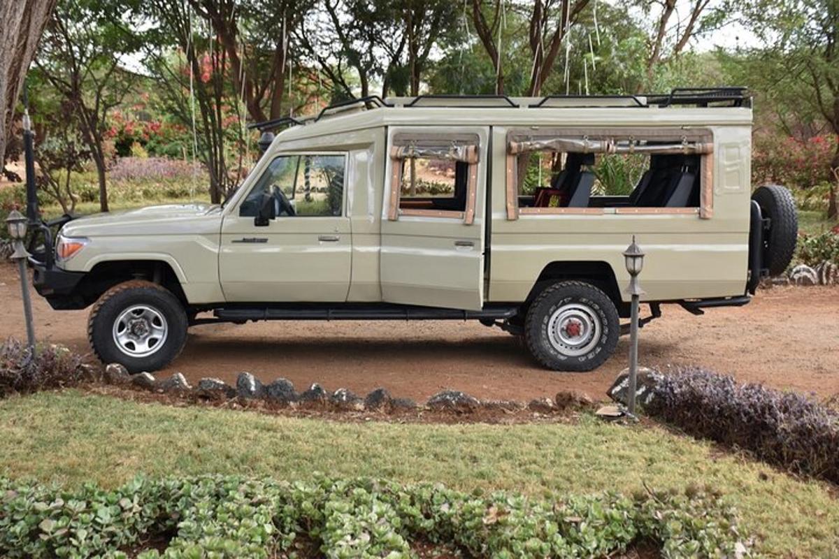 鳥のいる公園に駐車された茶色のジープ