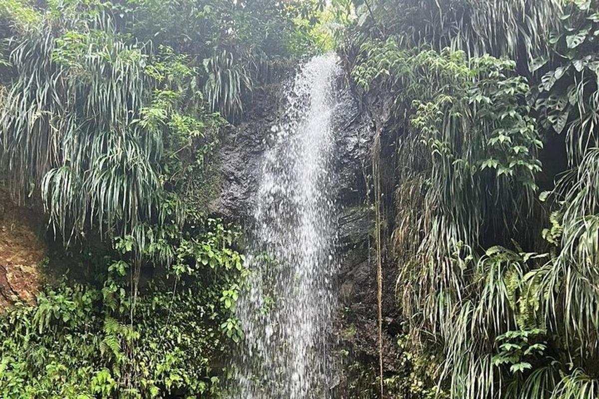 a waterfall in the middle of a forest with trees