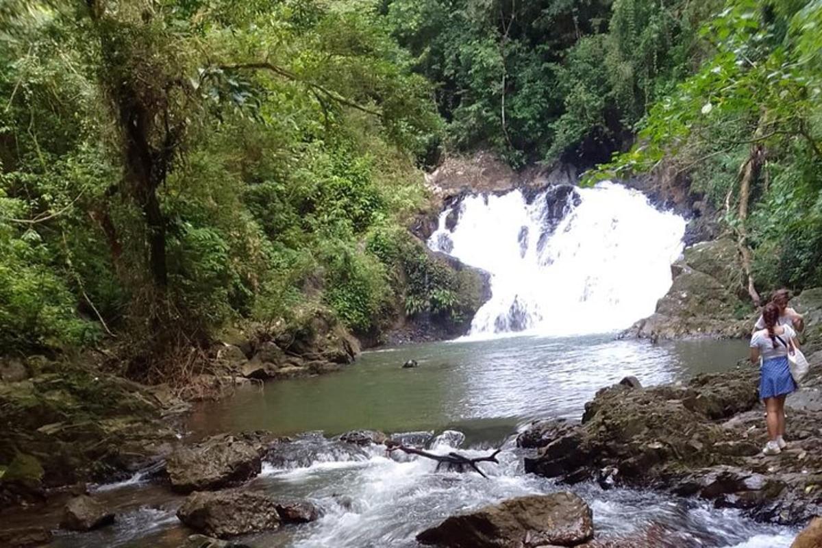 Dos personas de pie en un río con una cascada.