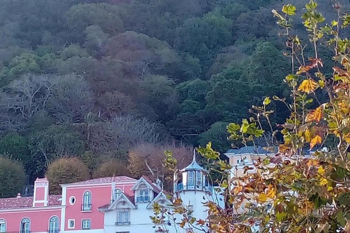 산 앞에 있는 집들