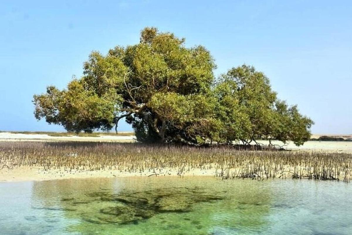 Lankytinos vietos ar pramogos nuotrauka numeris 4