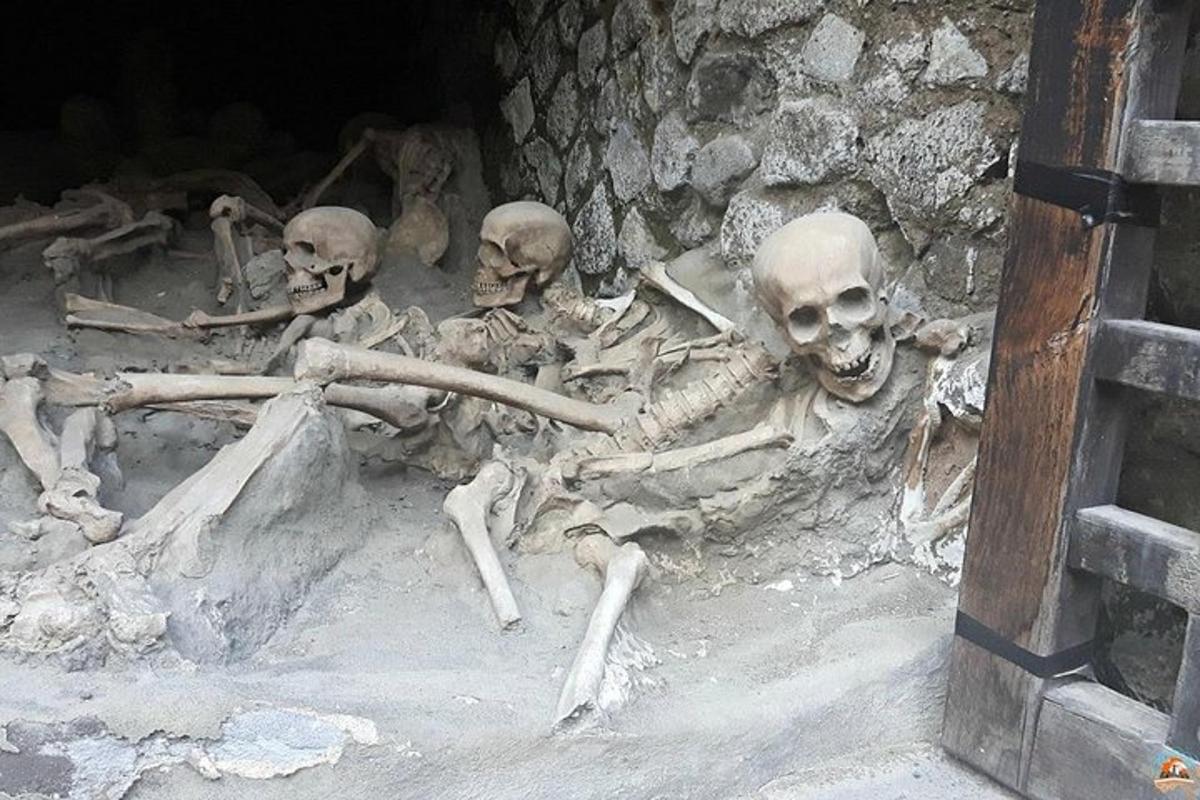 koopas maas lebav skelettide hunnik