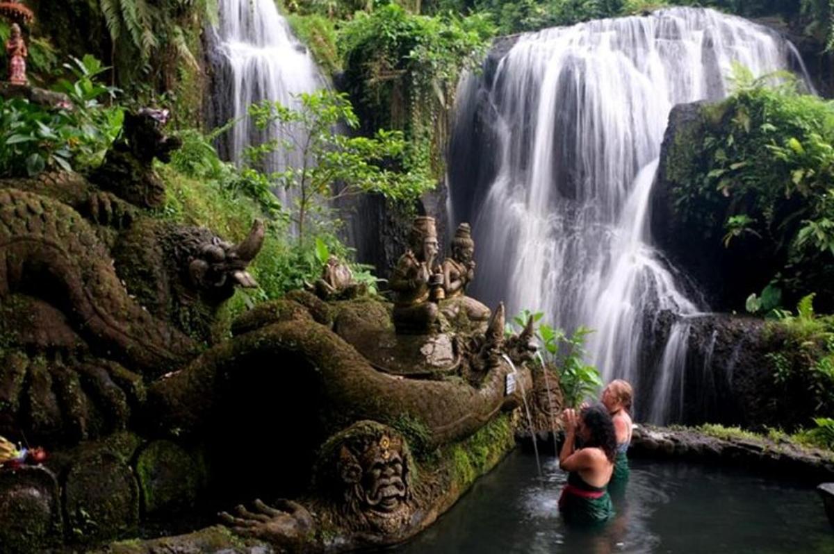 una dona dreta en una piscina davant d'una cascada