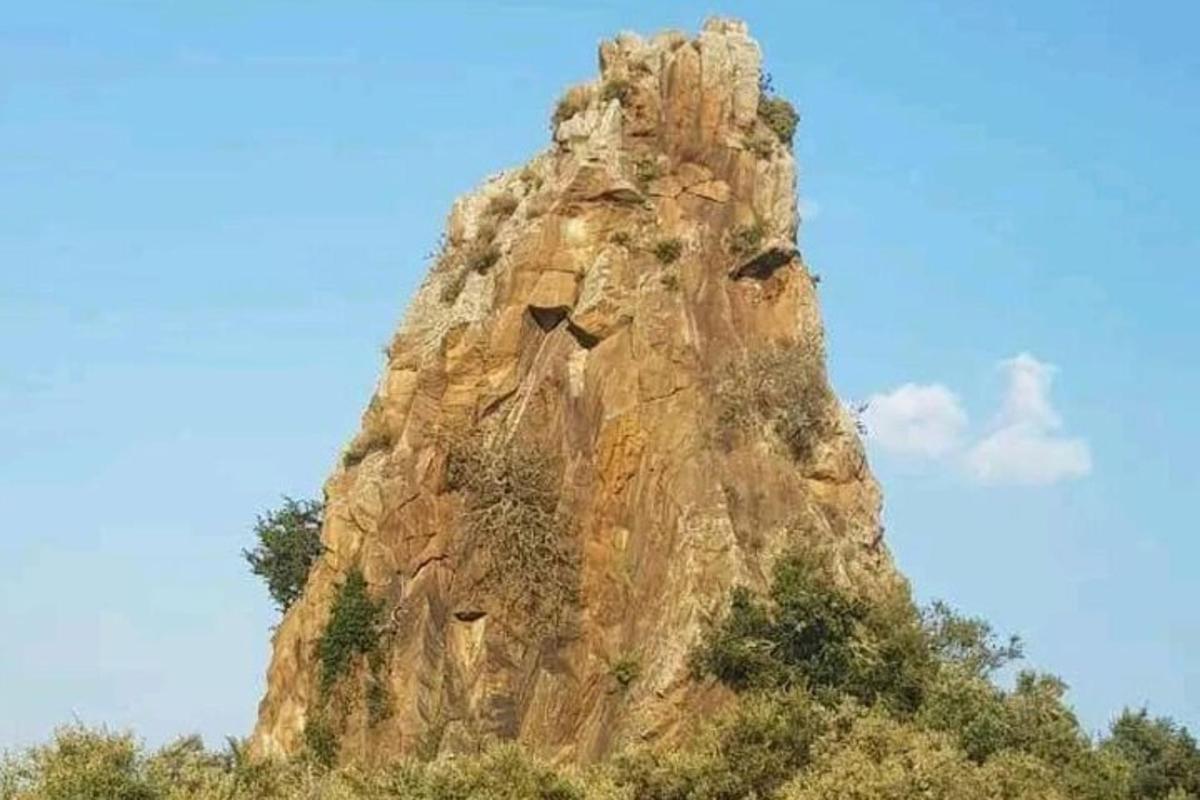 a large rocky mountain with trees around it