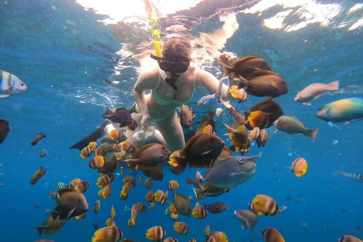 a woman in the water with a bunch of fish