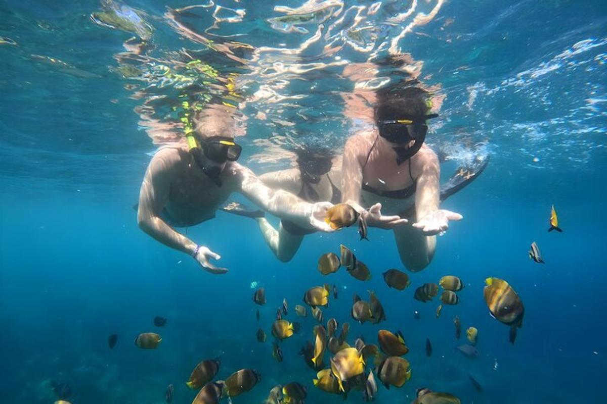 two people swimming in the water with fish