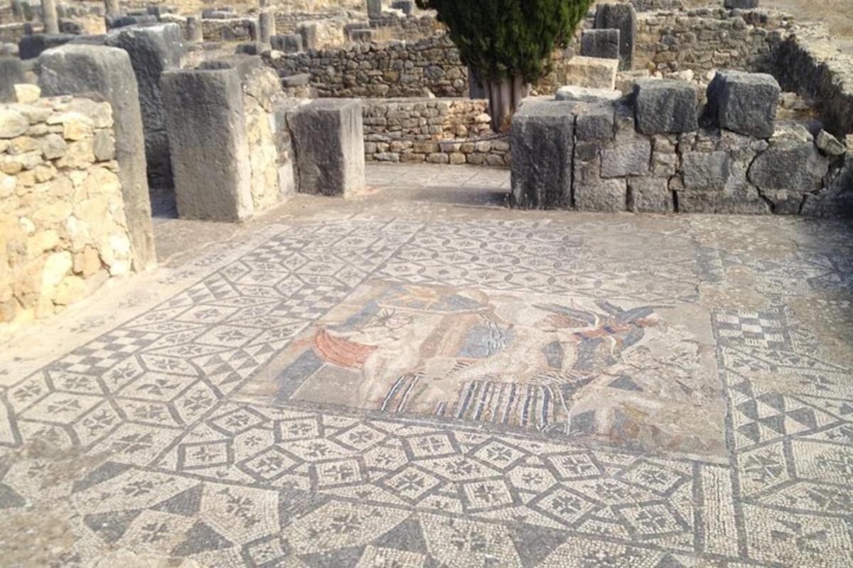 mosaiikpõrand, millel on maal hoones