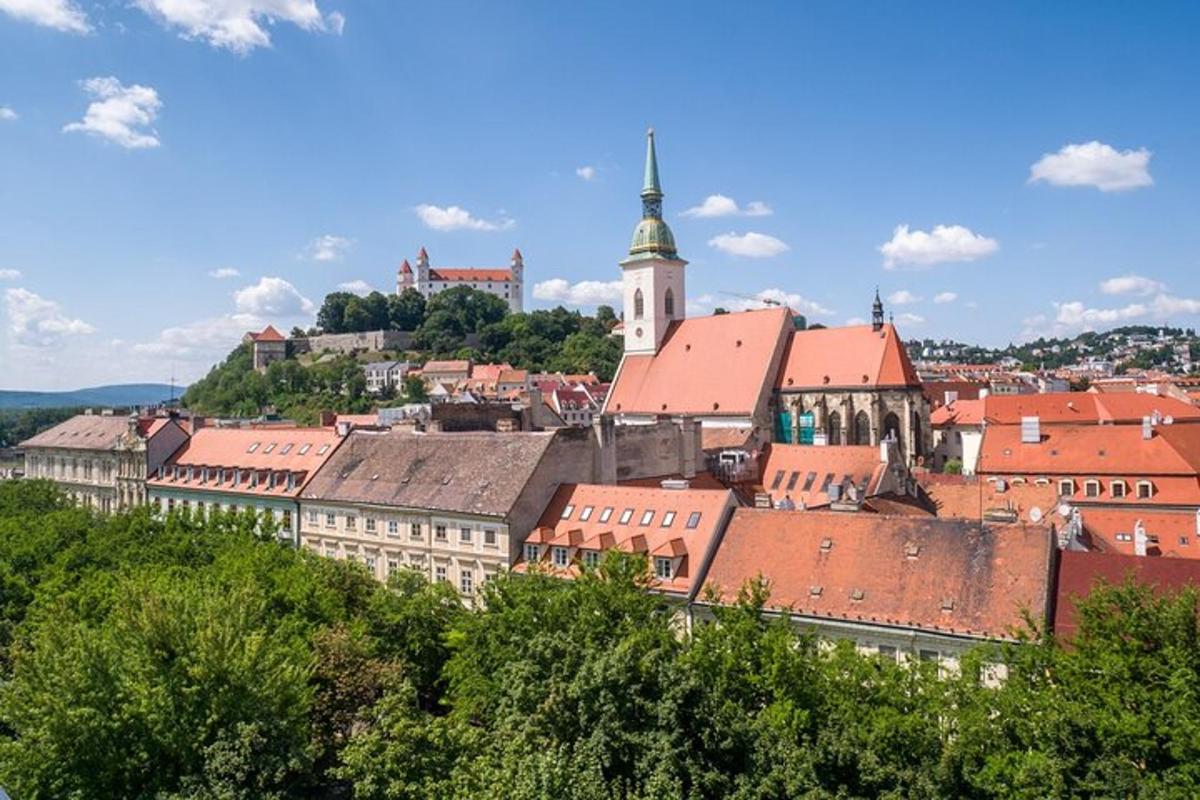 widok miasta z czerwonymi dachami