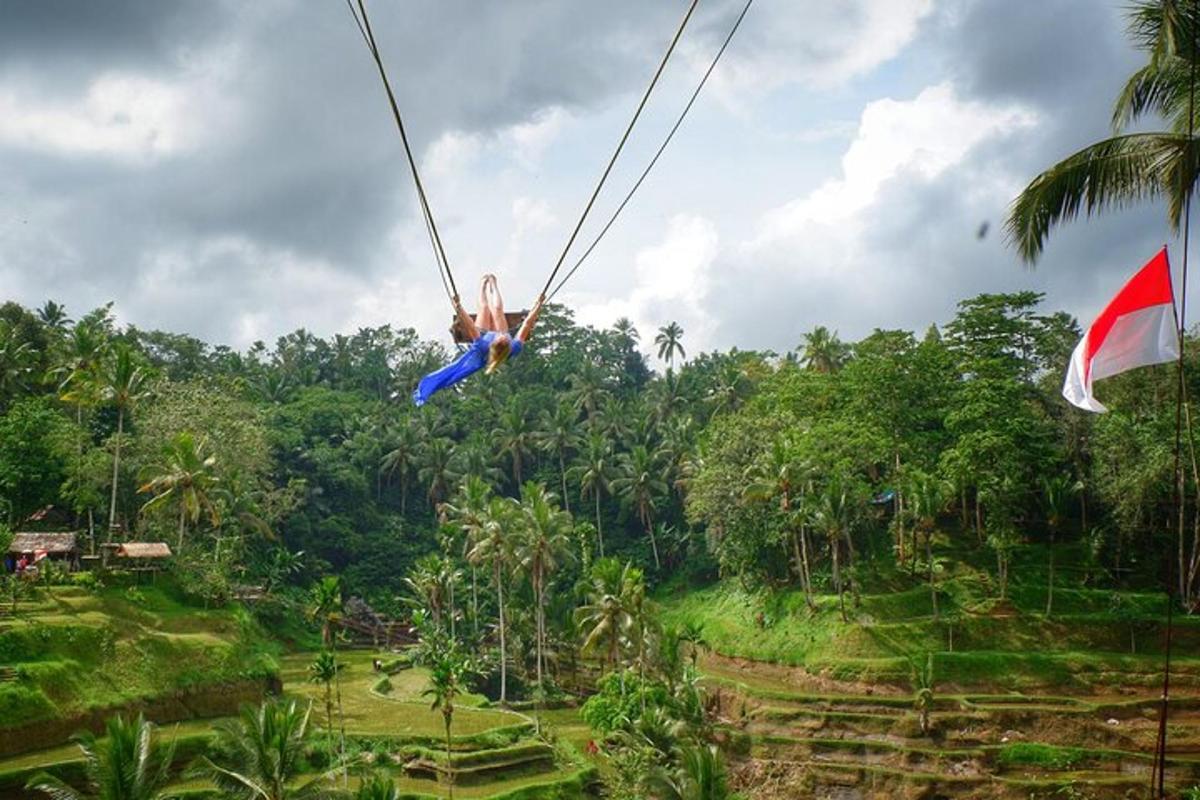 egy személy egy zipline-on a dzsungelben