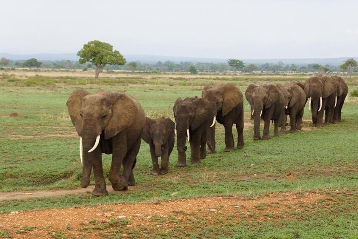 Foto 1 da atração