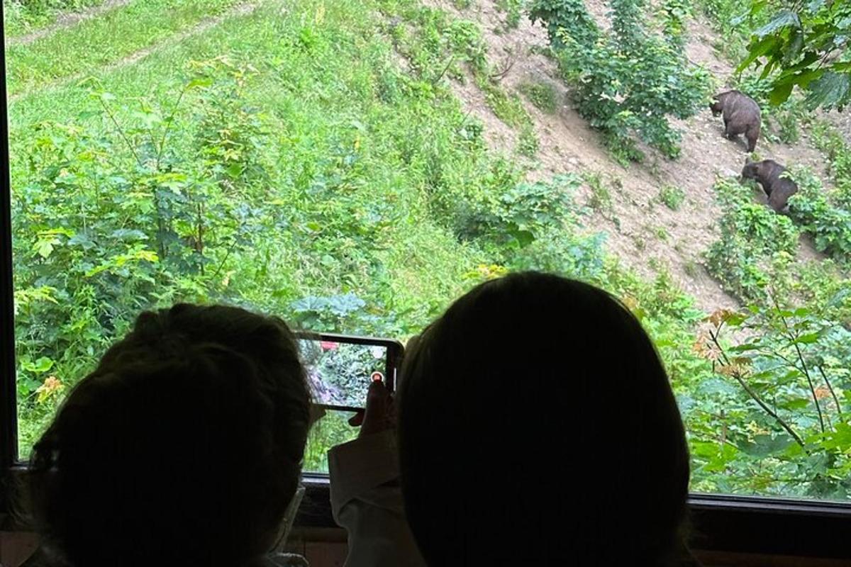 dva lidé fotí slony z autobusu