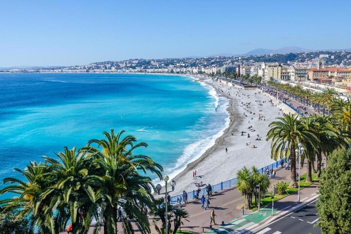 a view of a beach with palm trees and the ocean