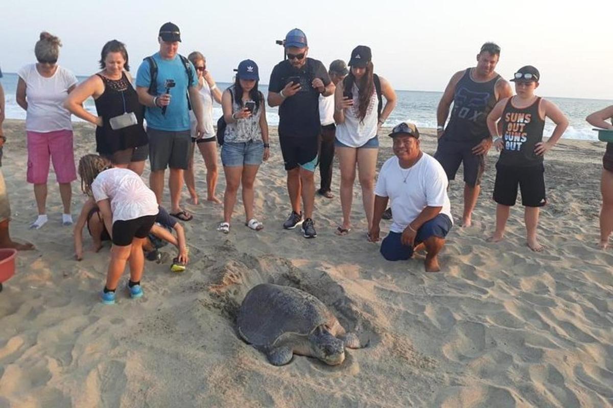 un gruppo di persone in piedi attorno a una tartaruga morta sulla spiaggia