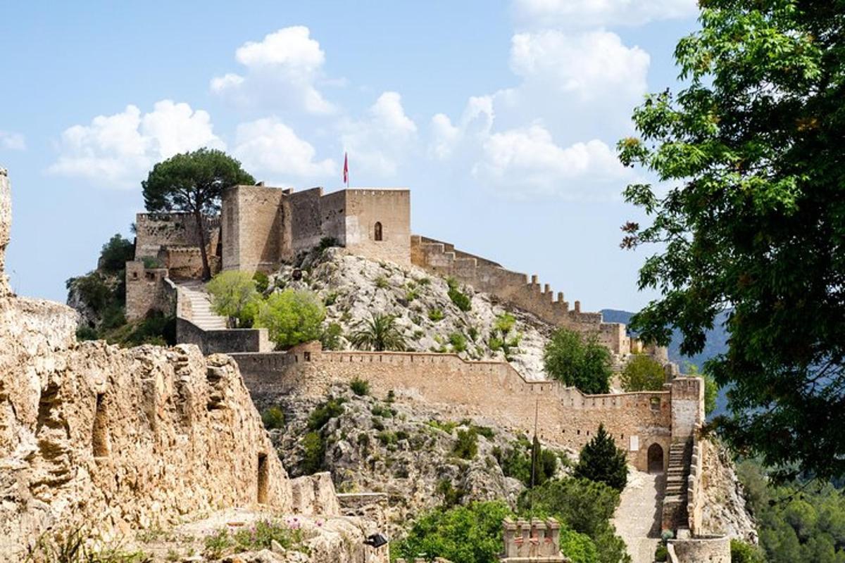 a castle on the side of a mountain