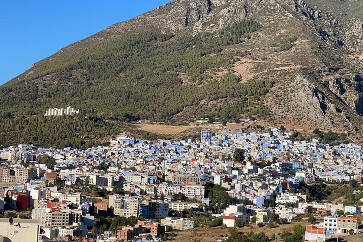 a view of a city in front of a mountain