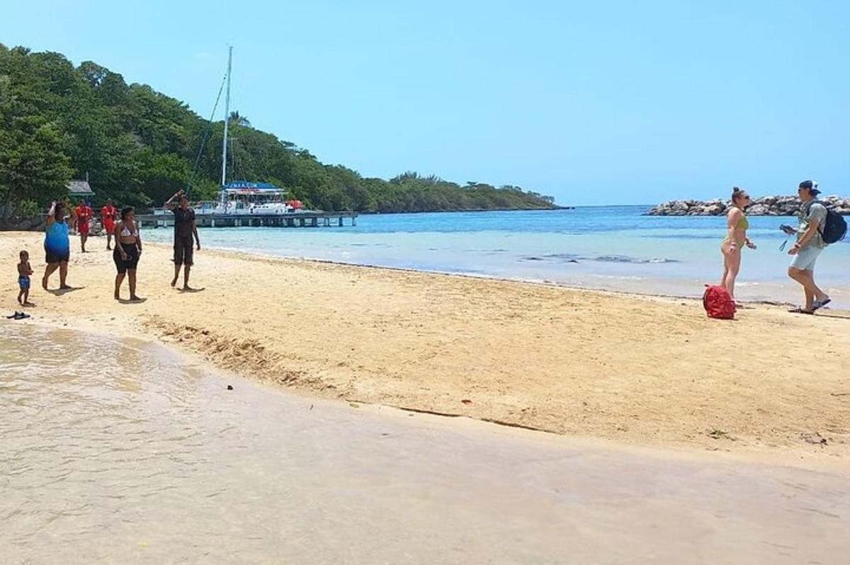 skupina ljudi, ki se sprehajajo po plaži